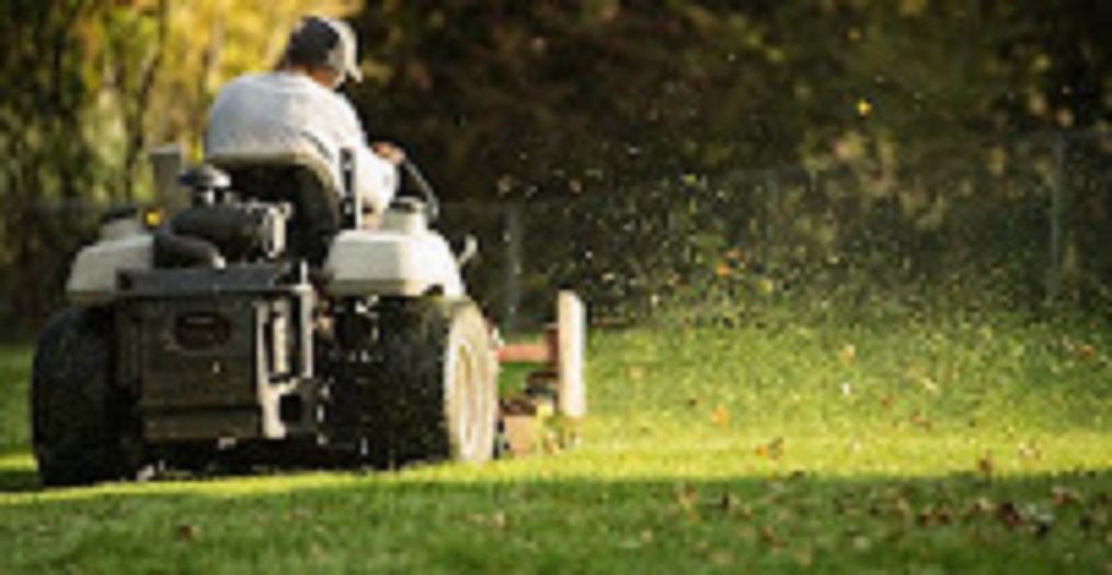 Bronx Lawn Care Service Image
